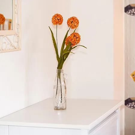 Sonnenkieker Apartment *